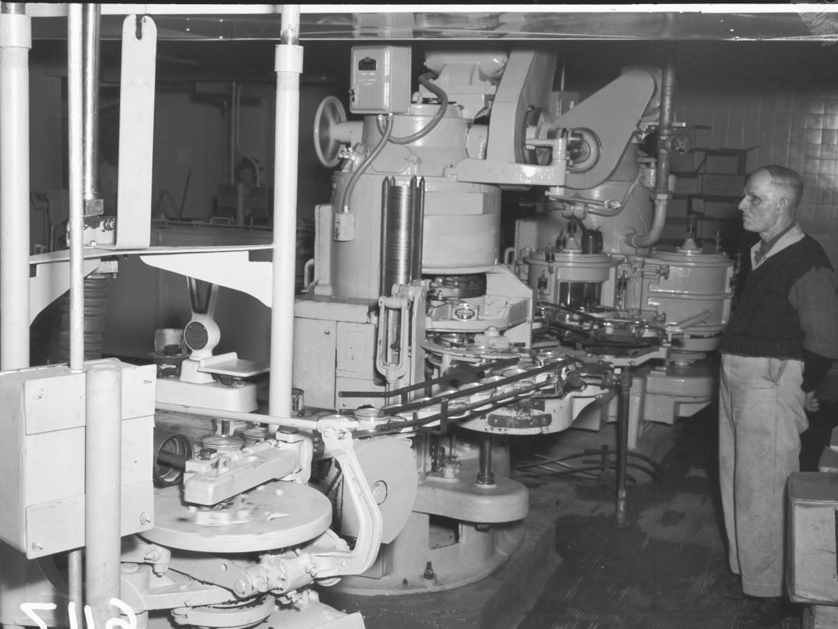 Canning butter concentrate, Butter Marketing Board, Hamilton, Brisbane, August 1955
