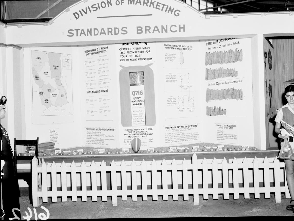 Department of Agriculture and Stock displays at the annual exhibition of the Royal National Association, Brisbane, August 1955, Bowen Hills