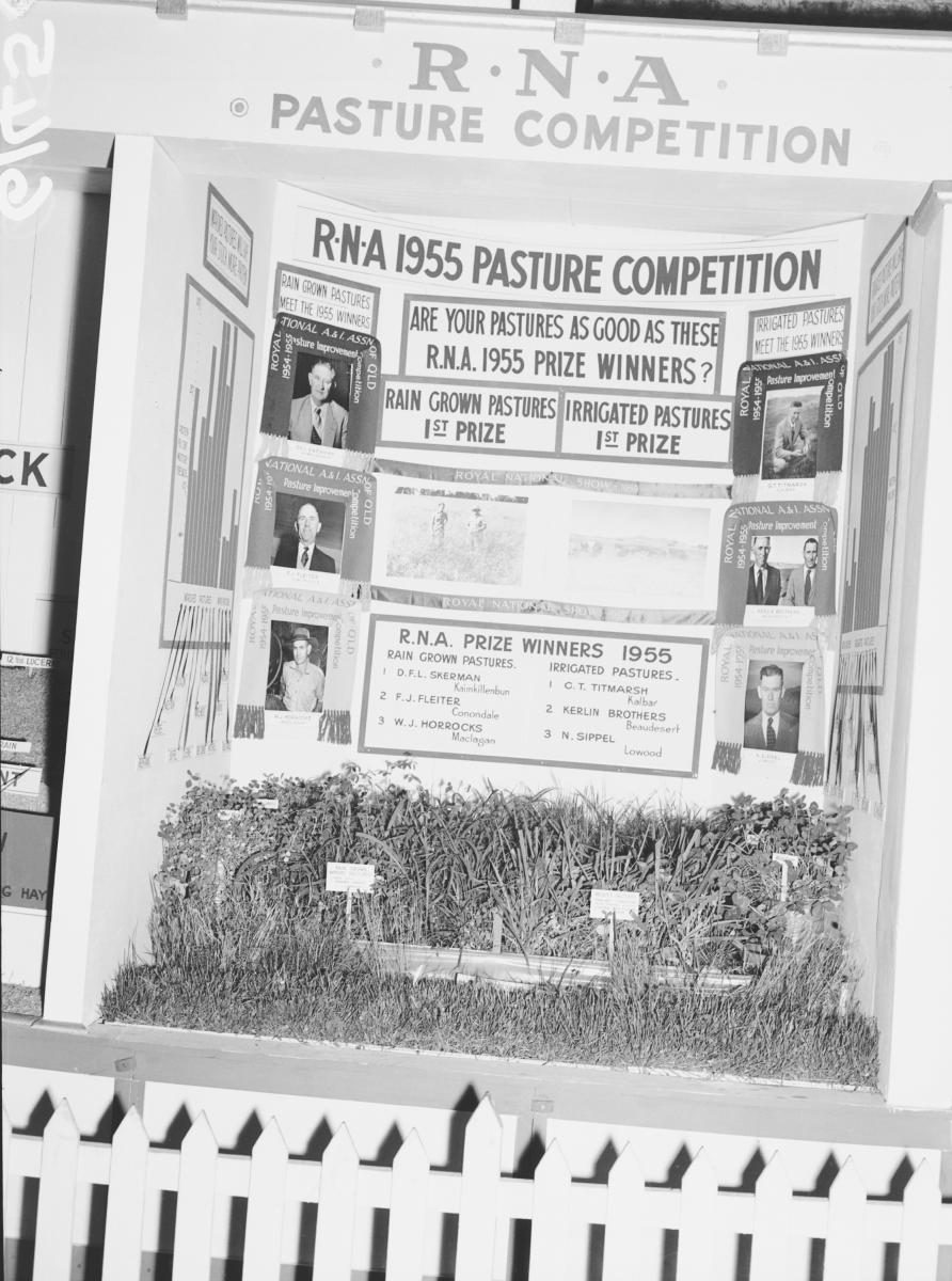 Department of Agriculture and Stock displays at the annual exhibition of the Royal National Association, Brisbane, August 1955, Bowen Hills