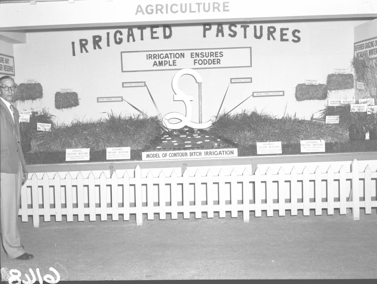 Department of Agriculture and Stock displays at the annual exhibition of the Royal National Association, Brisbane, August 1955, Bowen Hills