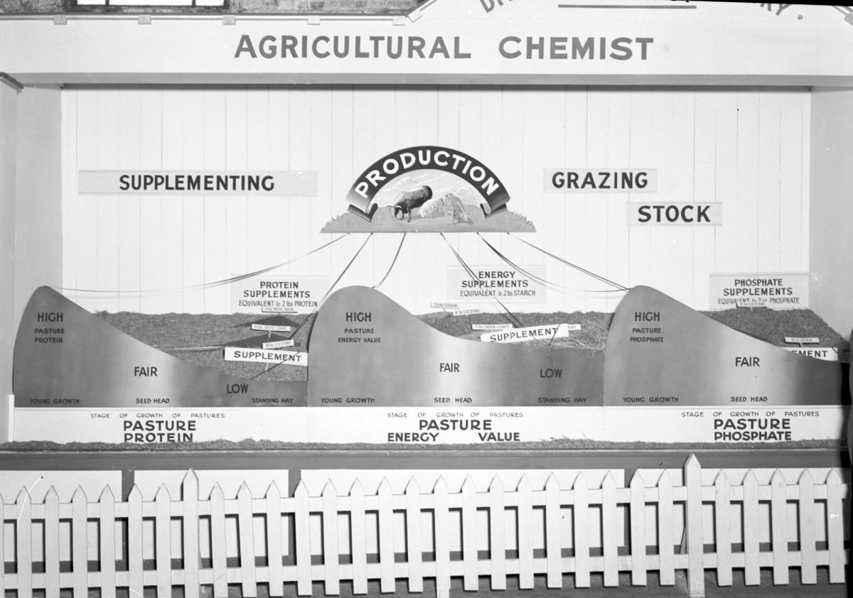 Department of Agriculture and Stock displays at the annual exhibition of the Royal National Association, Brisbane, August 1955, Bowen Hills