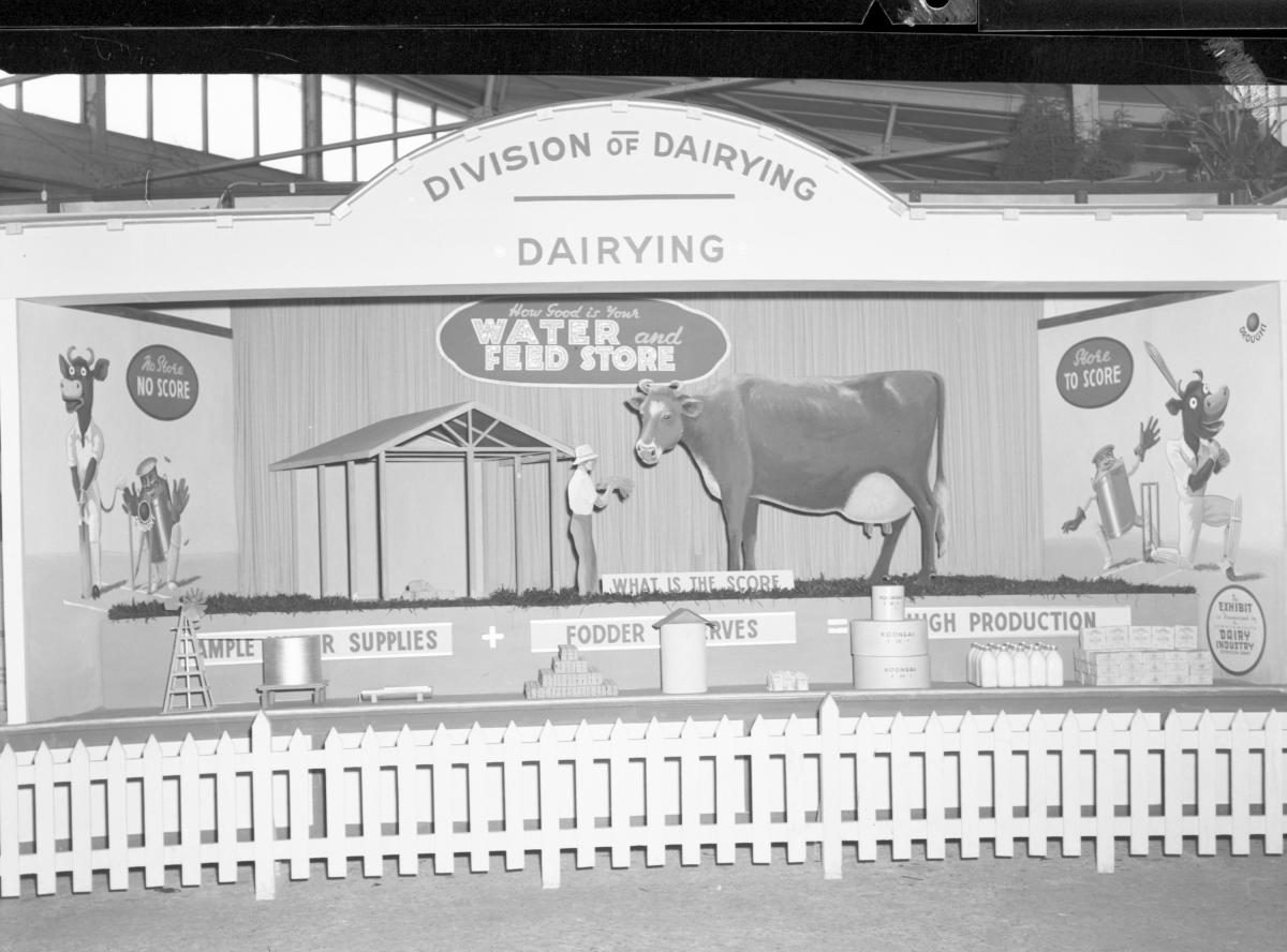 Department of Agriculture and Stock displays at the annual exhibition of the Royal National Association, Brisbane, August 1955, Bowen Hills