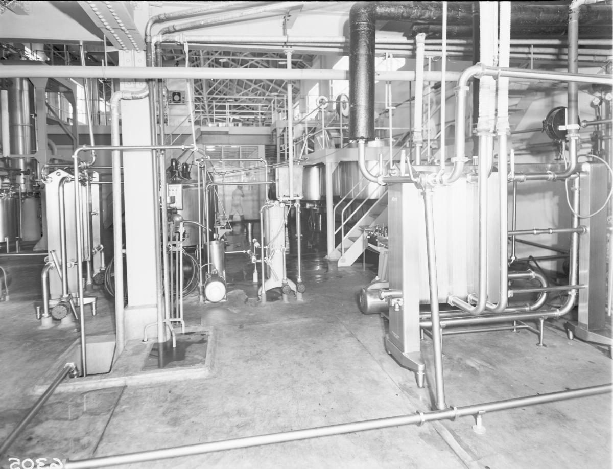 Separating and milk products section, Pauls, Montague Road, South Brisbane, November 1955