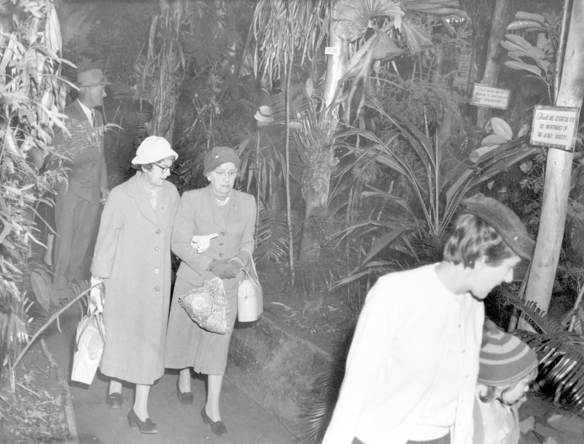Forestry Department exhibit at the Royal National Show, Brisbane, August 1960, Bowen Hills