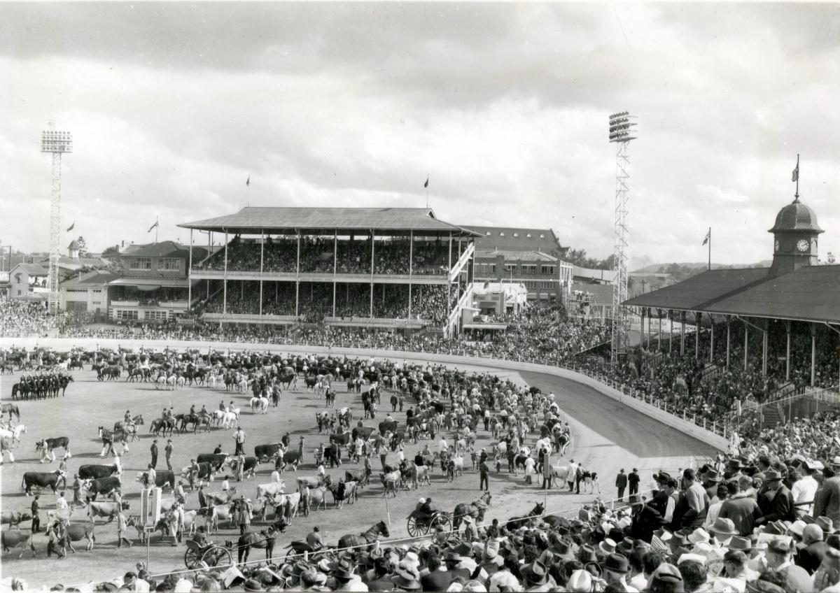 Grand Parade in the main arena at the Royal National Show, Brisbane, August 1963, Bowen Hills