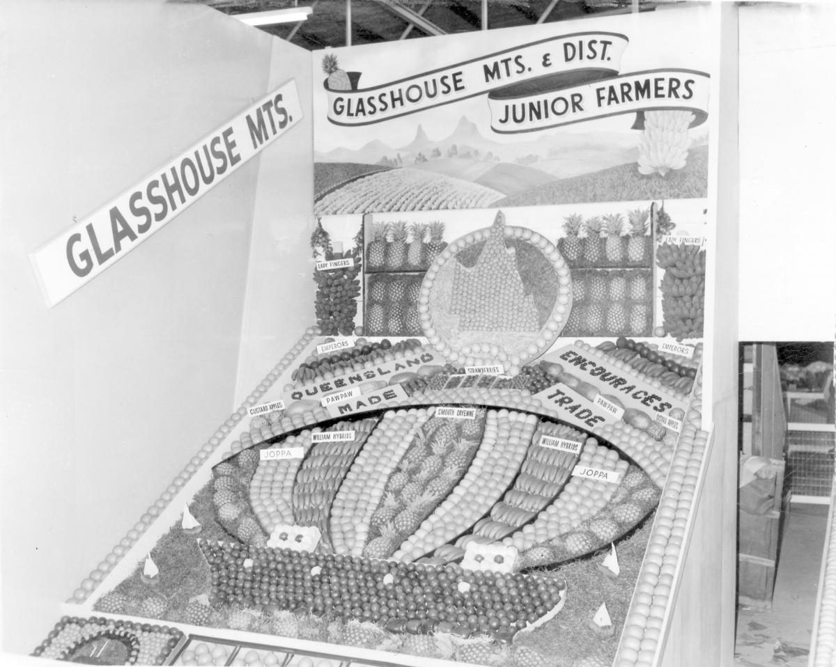 Glasshouse Mountains junior farmers exhibit at the Royal National Show, Brisbane, August 1964, Bowen Hills