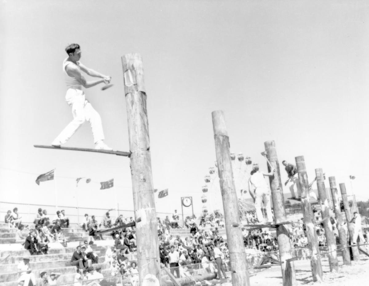 Tree felling contest at the Royal National Show, Brisbane, August 1969, Bowen Hills