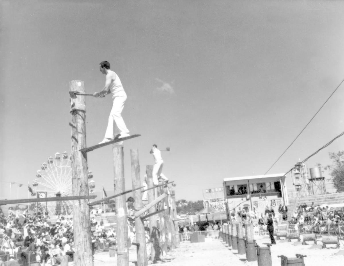 Tree felling contest at the Royal National Show, Brisbane, August 1969, Bowen Hills