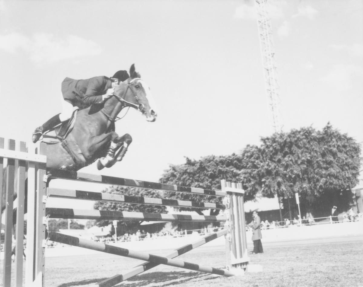 Jumping event at the Royal National Show, Brisbane, August 1972, Bowen Hills