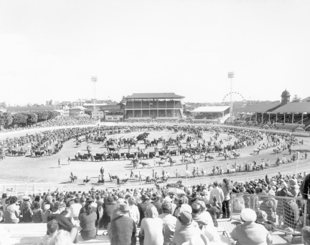 Grand Parade at the Royal National Show, Brisbane, August 1972, Bowen Hills