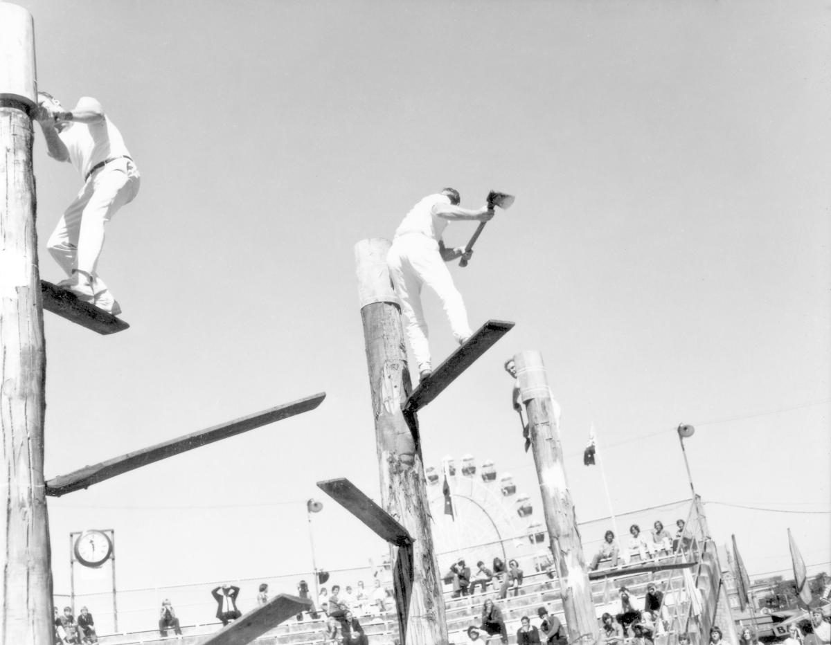 Tree felling contest at the Royal National Show, Brisbane, August 1972, Bowen Hills