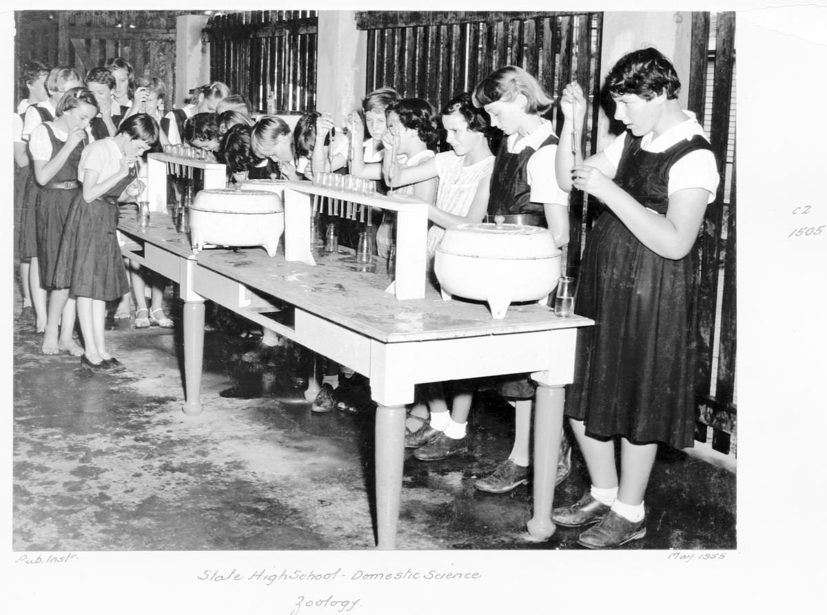 State High School, Domestic Science, Zoology - Brisbane, March 1955