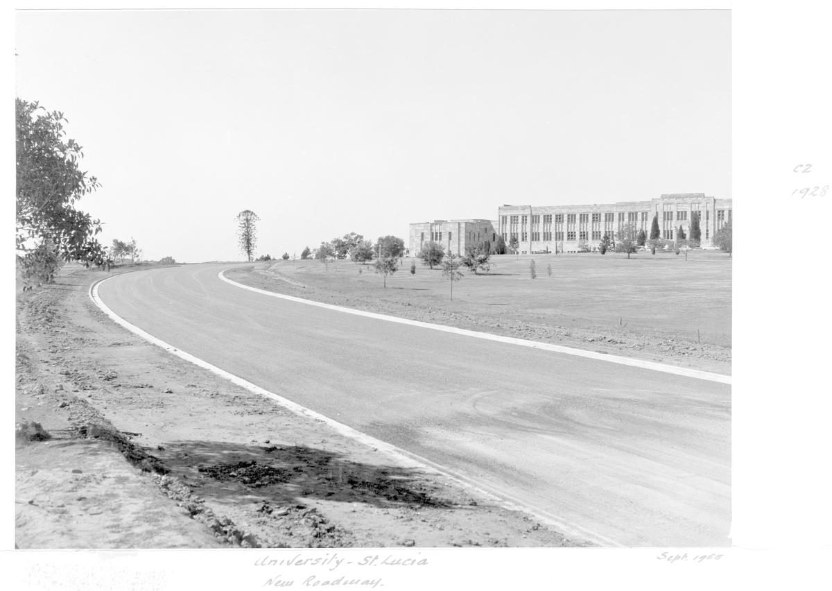 University of Queensland new roadway at St Lucia - Brisbane, September 1955