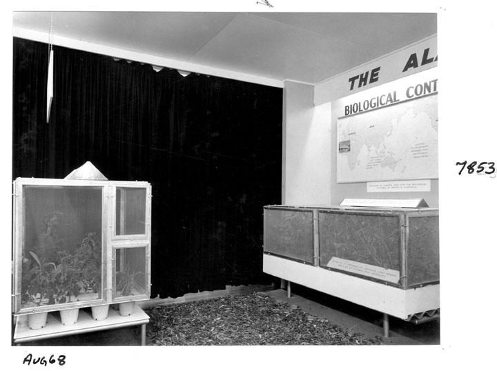 Lands Department Exhibit, Royal National Agricultural and Industrial Association of Queensland, Brisbane, August 1968, Bowen Hills