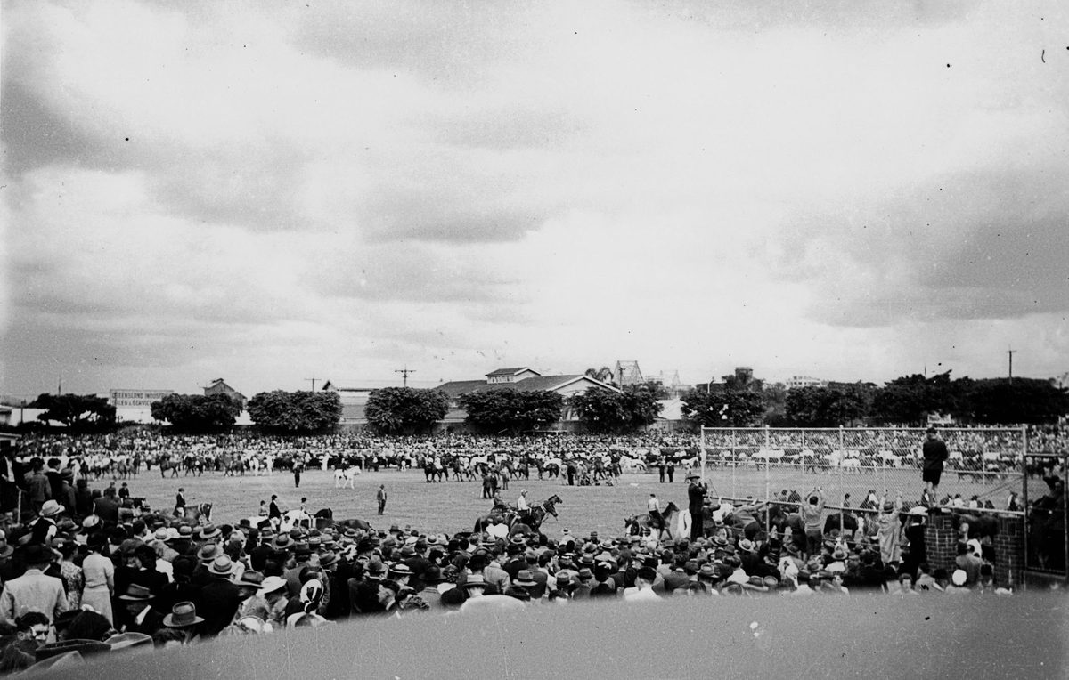 Crowds surround the main show ring to watch the parade of horses, Exhibition Ground, Brisbane, 1948, Bowen Hills