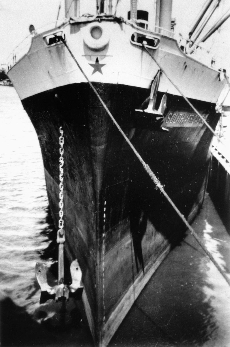 South Africa Star (ship), Brisbane (1950)