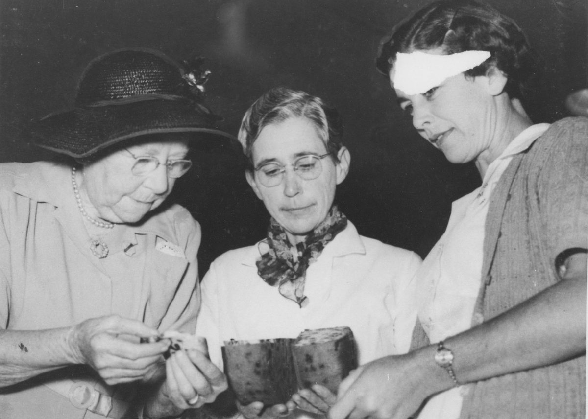 An anxious moment as the chief judge of cookery examines a fruit cake to see if it is good enough to eat, 1954, Brisbane