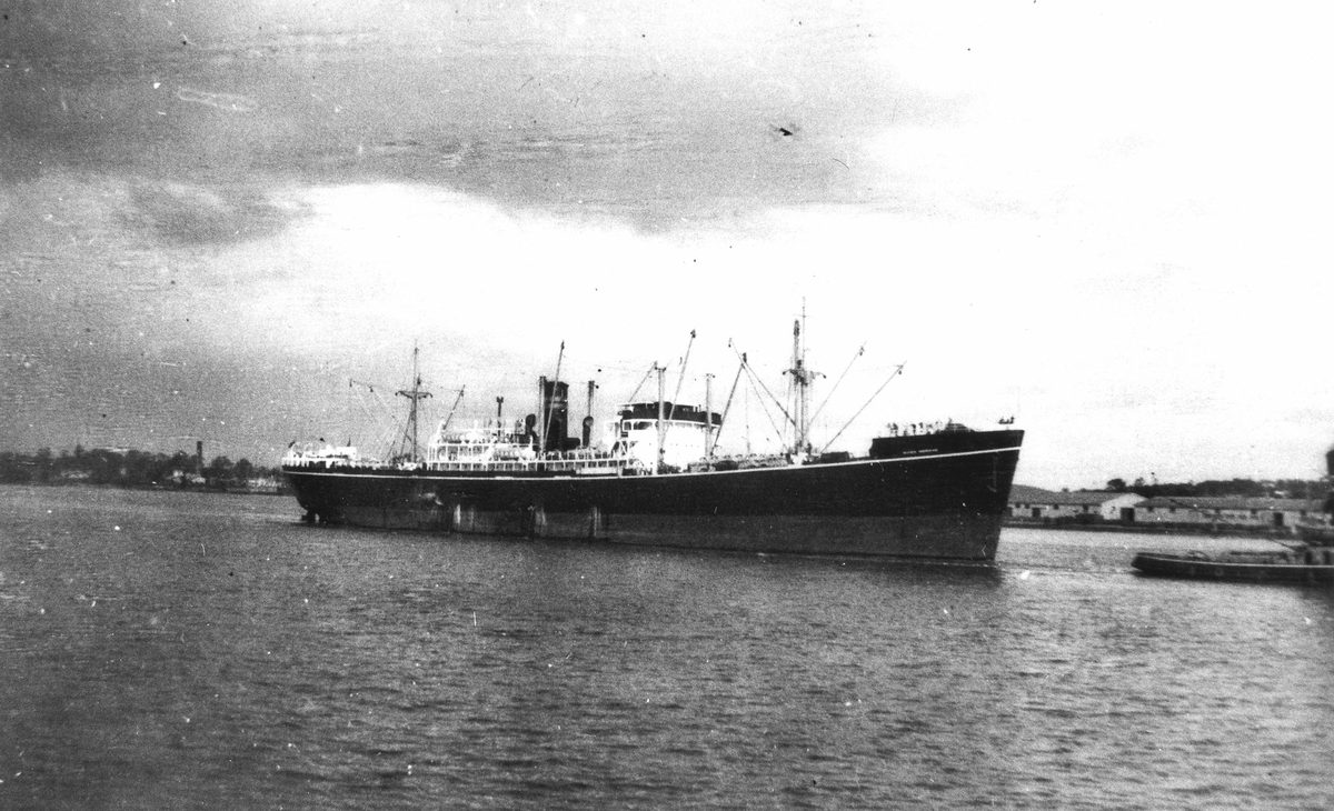 River Norman (ship), Brisbane River (1954)