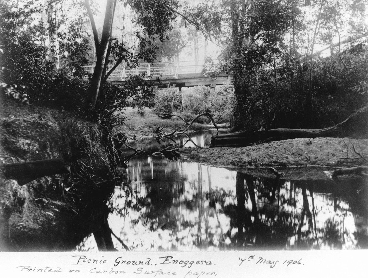 Bushland picnic ground at Enoggera Creek, 1906