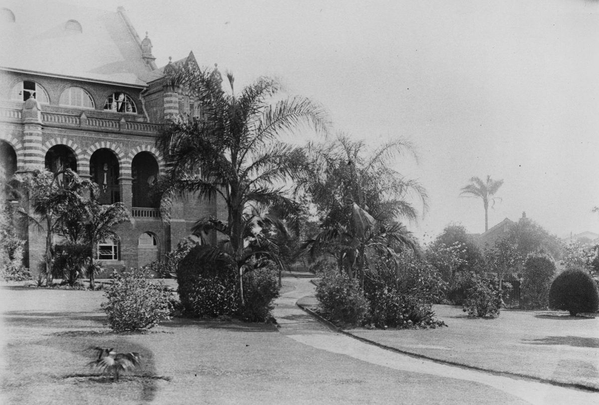 Museum gardens, Brisbane, 1906, Bowen Hills
