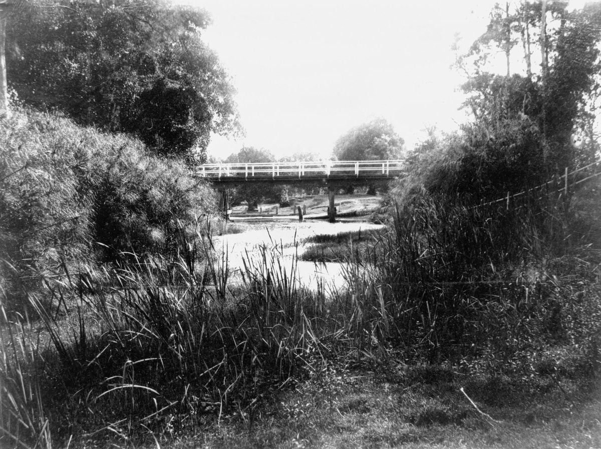 Normanby Bridge in the early morning, Kelvin Grove, Brisbane, Red Hill (1885)
