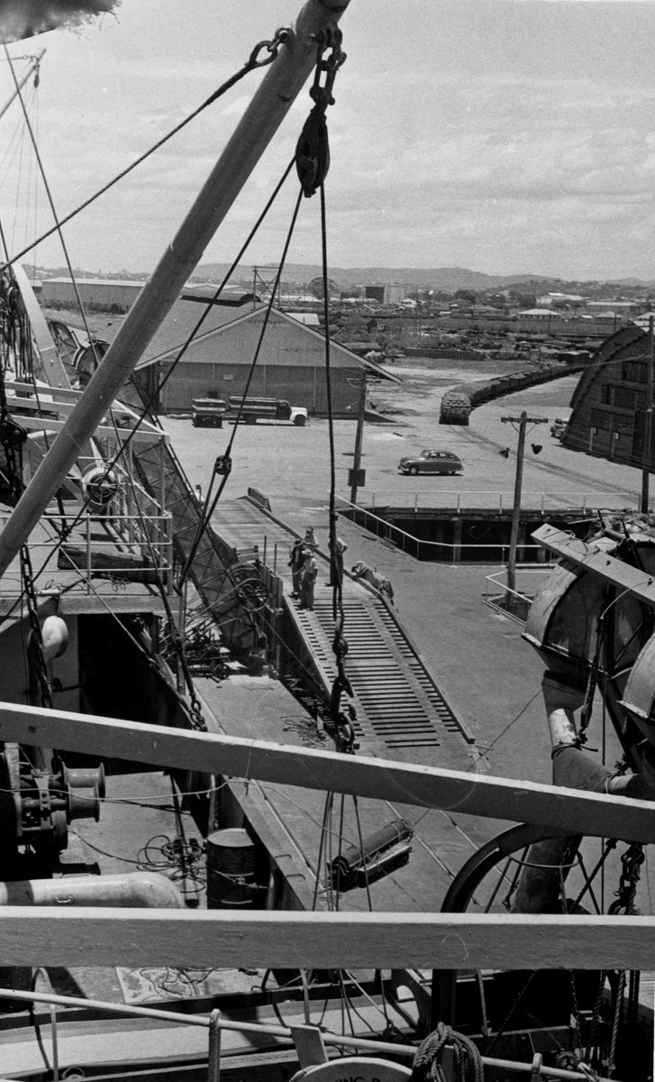 Ship, King David loading wheat at the Pinkenba Wharf, Brisbane, 1953