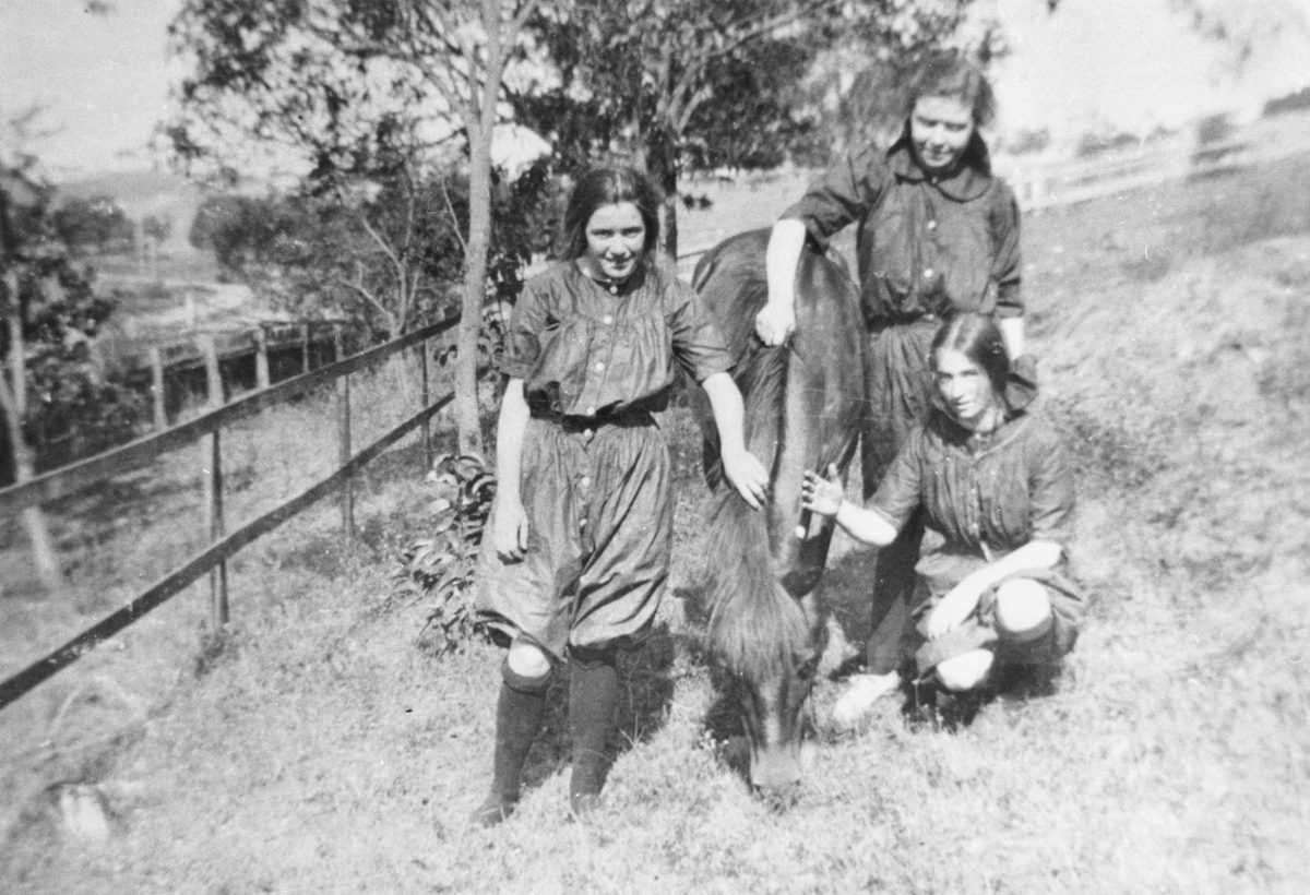 Girls from the Brisbane Girls Grammar School patting a horse, Brisbane, 1914, Spring Hill