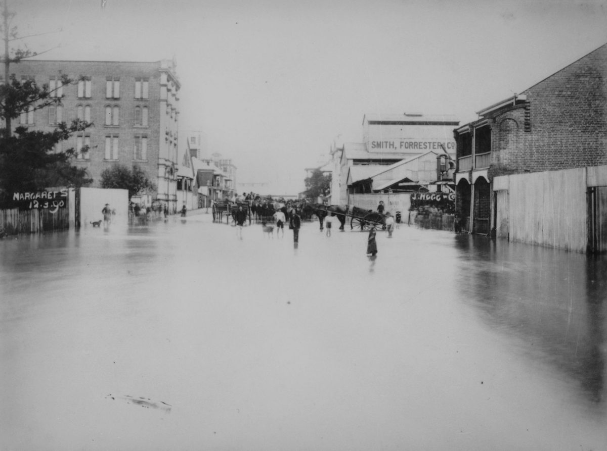 Margaret Street under floodwater, March 1890, Brisbane City