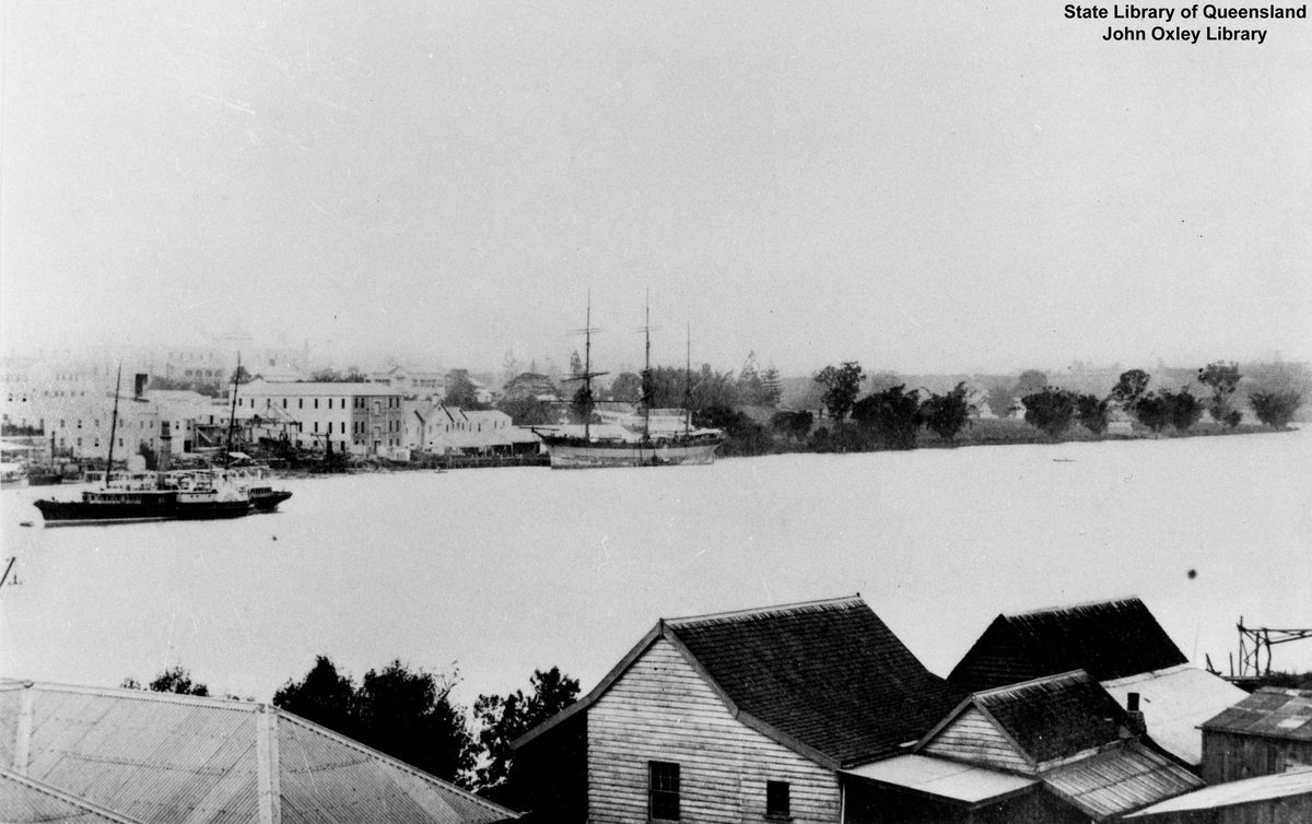 View of the South Brisbane Reach of the Brisbane River and the Botanical Gardens, Brisbane, Queensland,1887