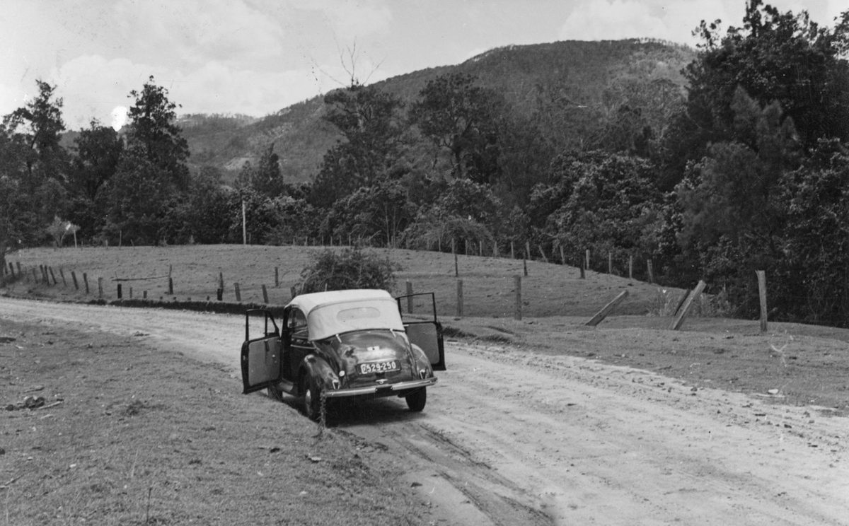Mount Glorious District in Queensland (1952)
