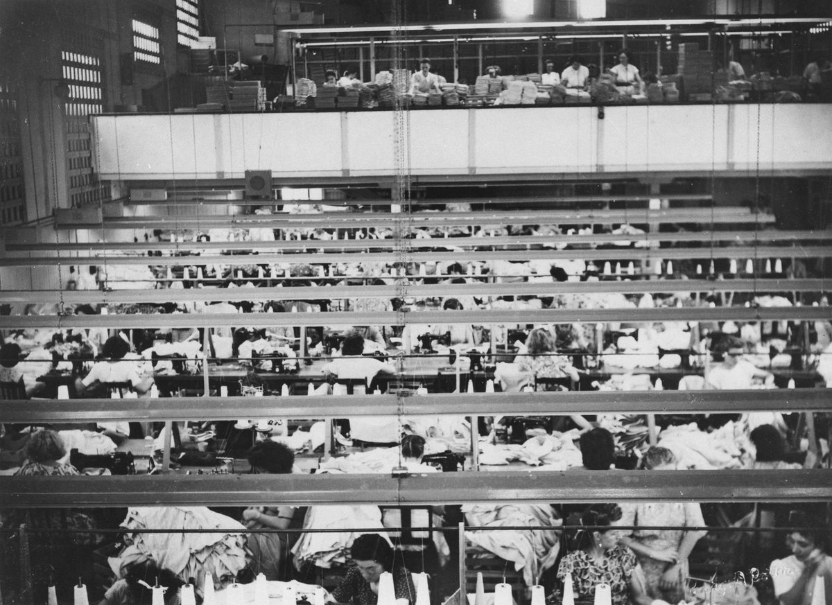 Workroom at the Pelaco Shirt Factory, Sandgate, 1948