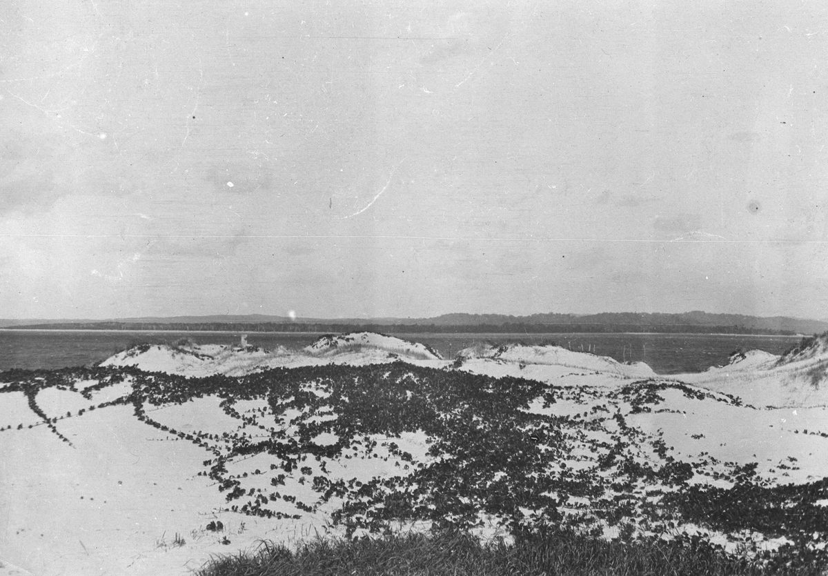 South Passage, Moreton Island, 1911