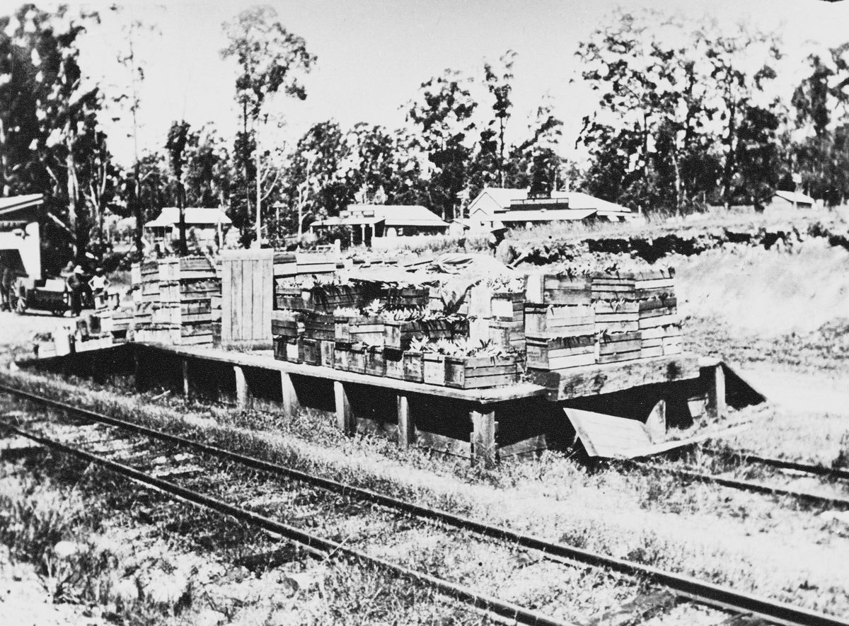 Farm produce at Wamuran Railway yards, 1925