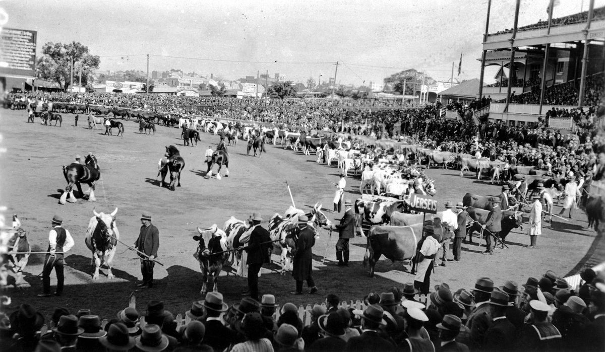 Show crowds observe the Grand Parade, Exhibition Ground, Brisbane, 1929, Bowen Hills