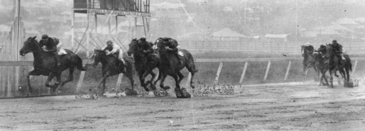 Amy Winifred wins on a very heavy track at Albion Park, Brisbane, 1931