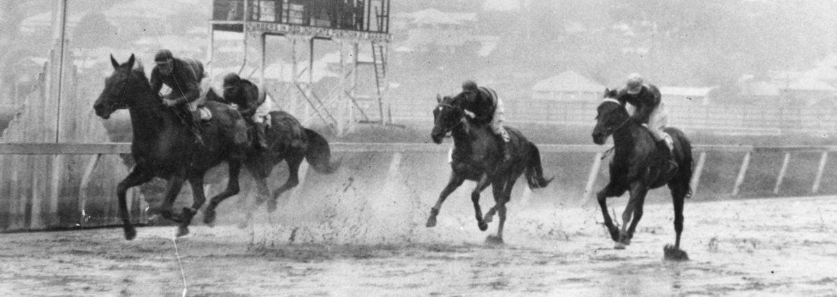 Paddy Bernard wins on a very wet track at Albion Park, Brisbane, 1931