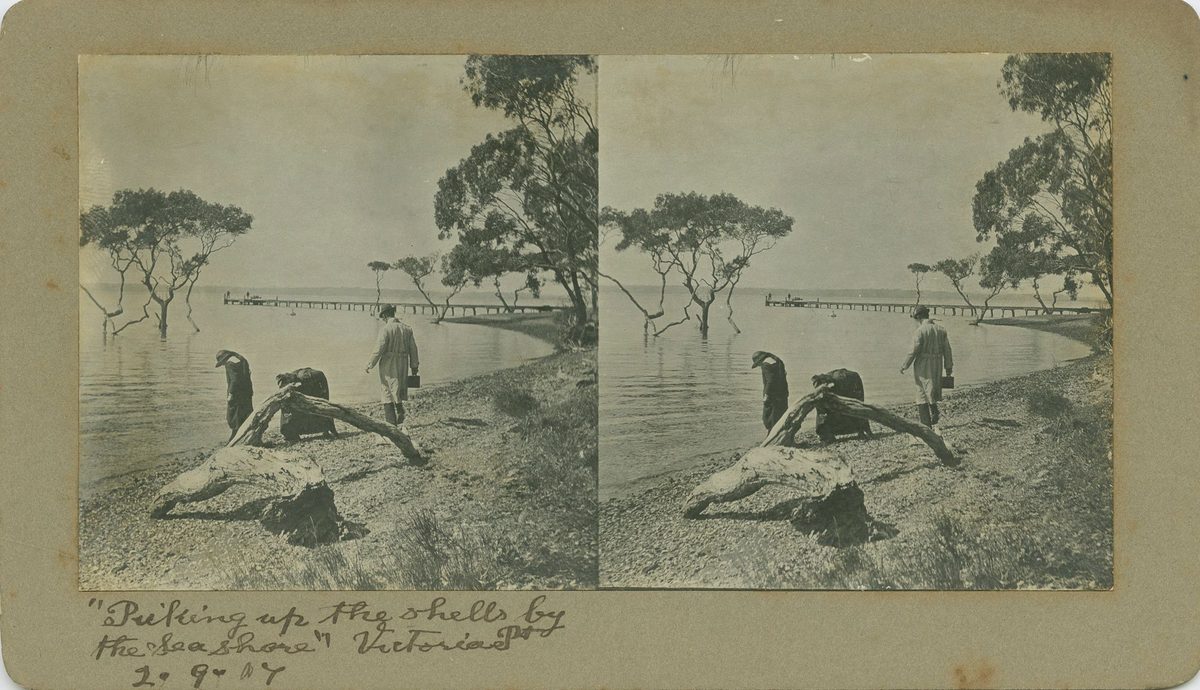 Searching for shells on the shore at Victoria Point, 1917