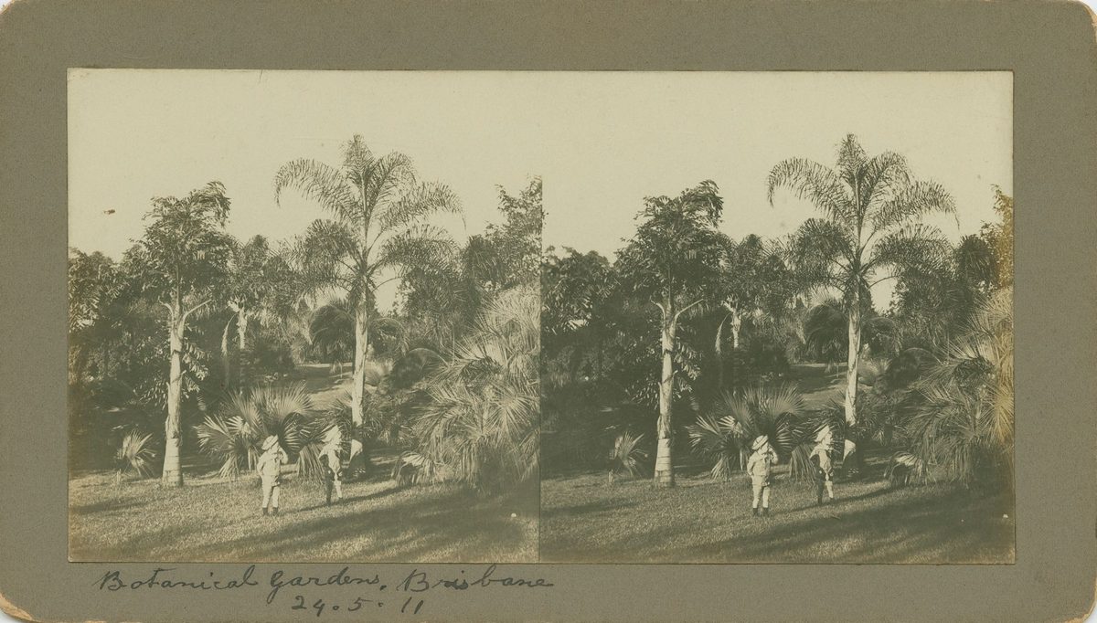 Two small boys in the Brisbane Botanical Gardens, 1911