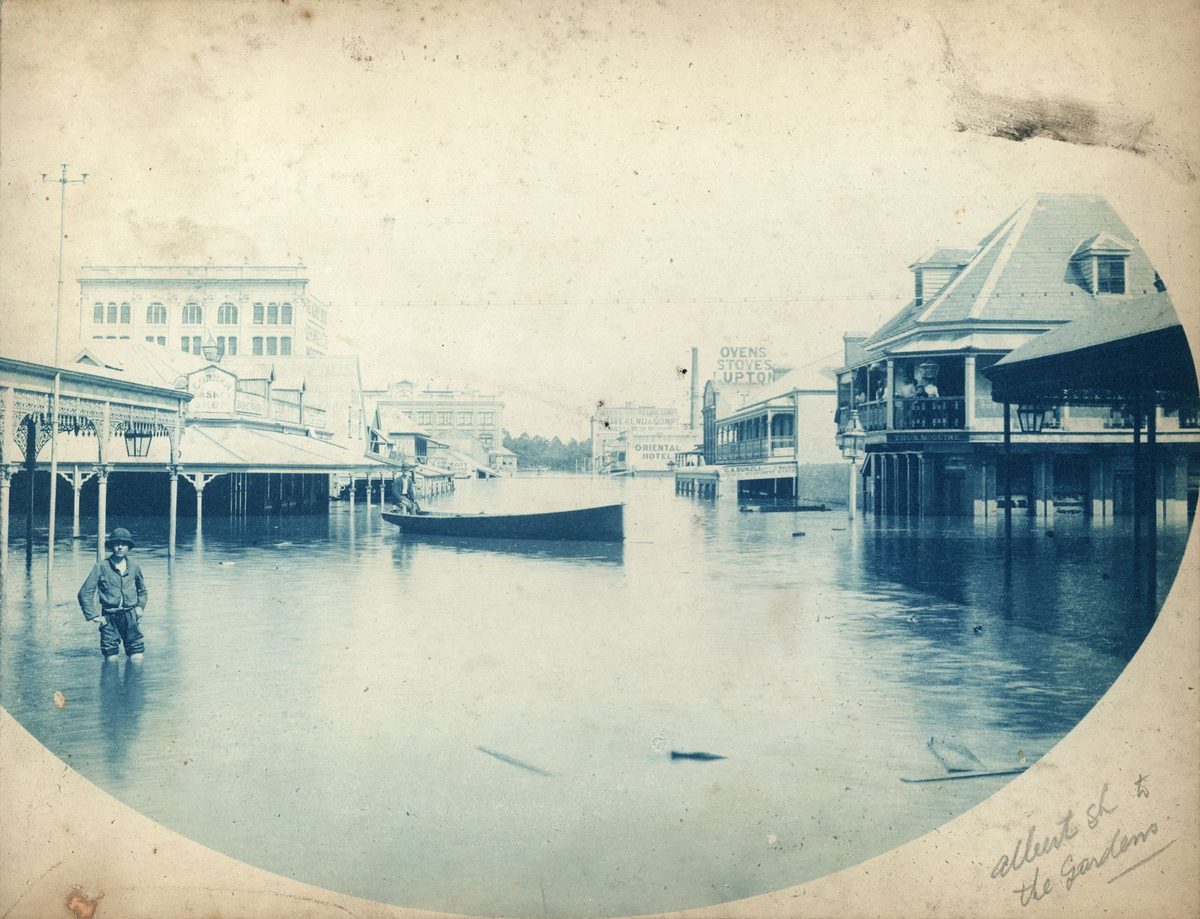 Looking down flooded Albert Street towards the Botanical Gardens, Brisbane, 1893, Brisbane City