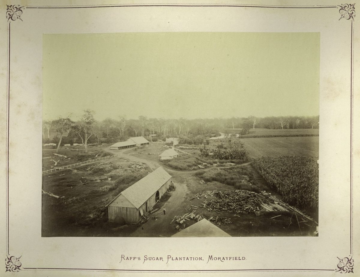 Raff's Sugar Plantation, Morayfield, Queensland, 1874