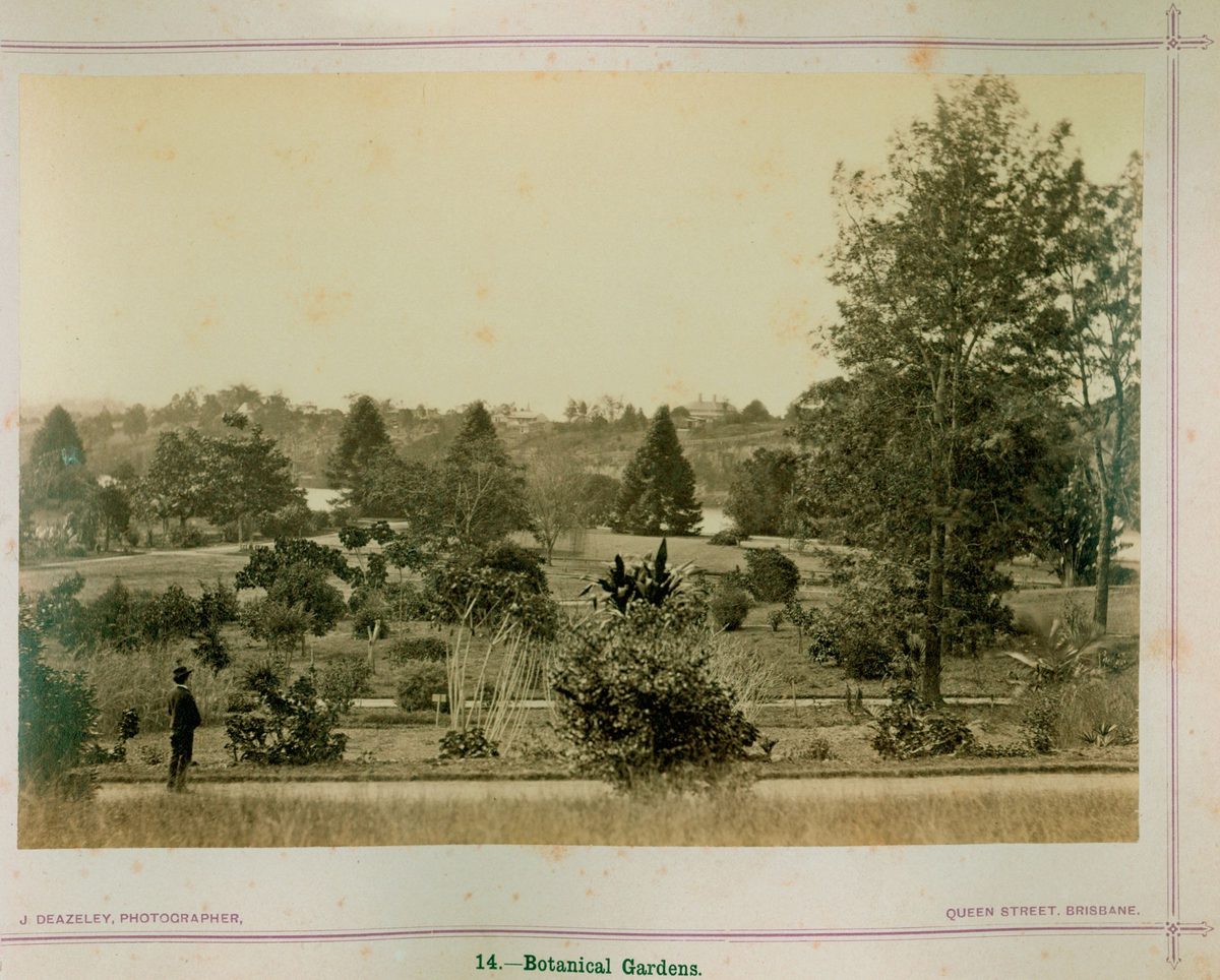 Botanic Gardens, Brisbane, 1874
