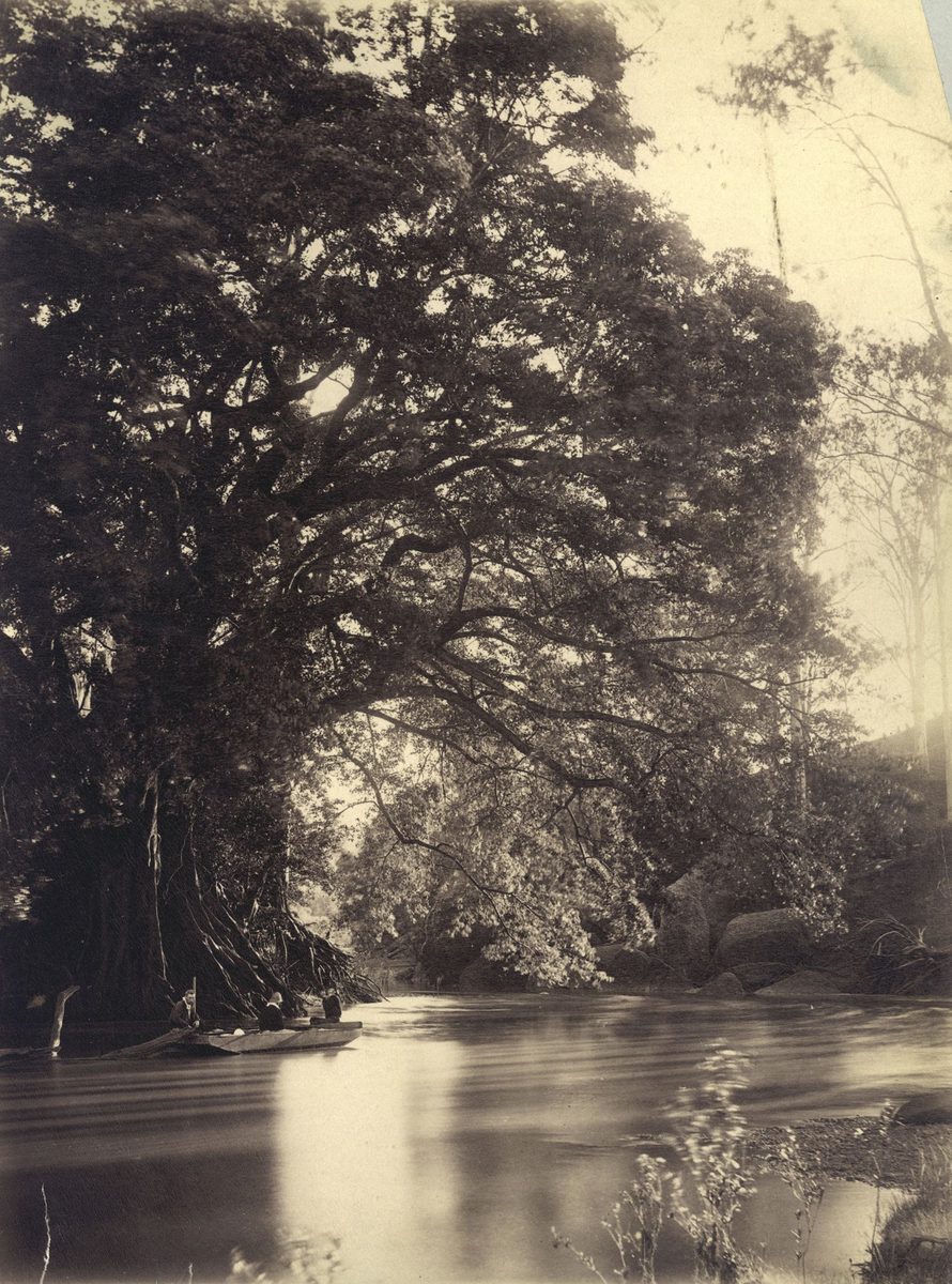 J. Trackson and friends in a punt in the upper reaches of the Brisbane River (1884)
