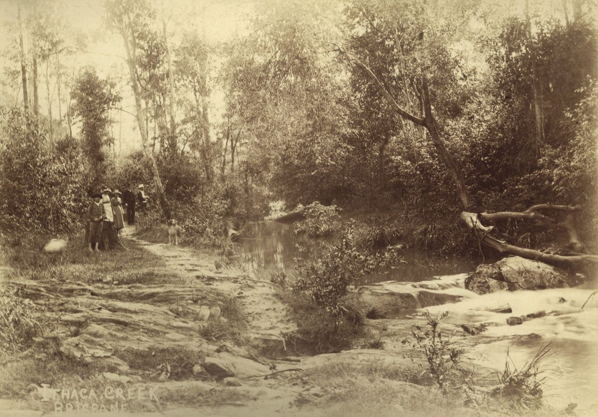 Nature walk along the banks of the Ithaca Creek, Brisbane (1880)
