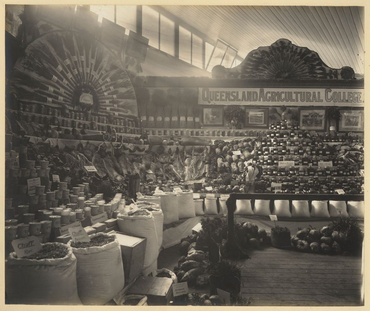 Queensland Agricultural College display at the Jubilee Exhibition, Brisbane, 1909, Bowen Hills