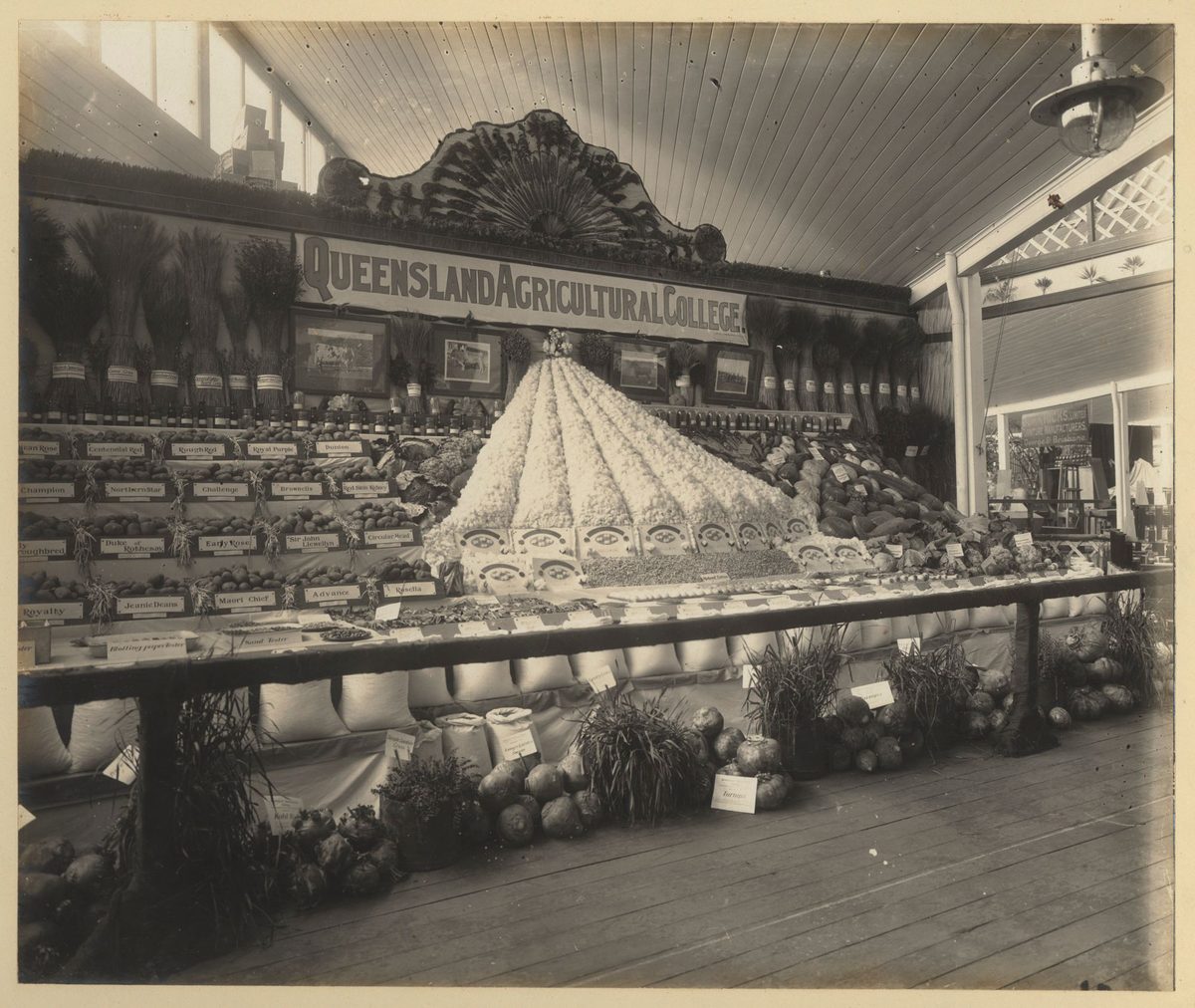 Queensland Agricultural College display at the Jubilee Exhibition, Brisbane, 1909, Bowen Hills