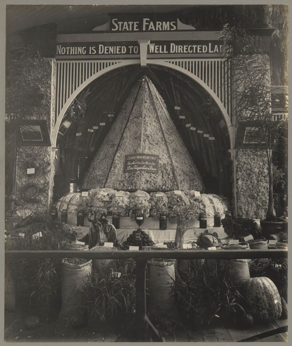 Queensland State Farms Merino wool display at the Jubilee Exhibition, Brisbane, 1909, Bowen Hills