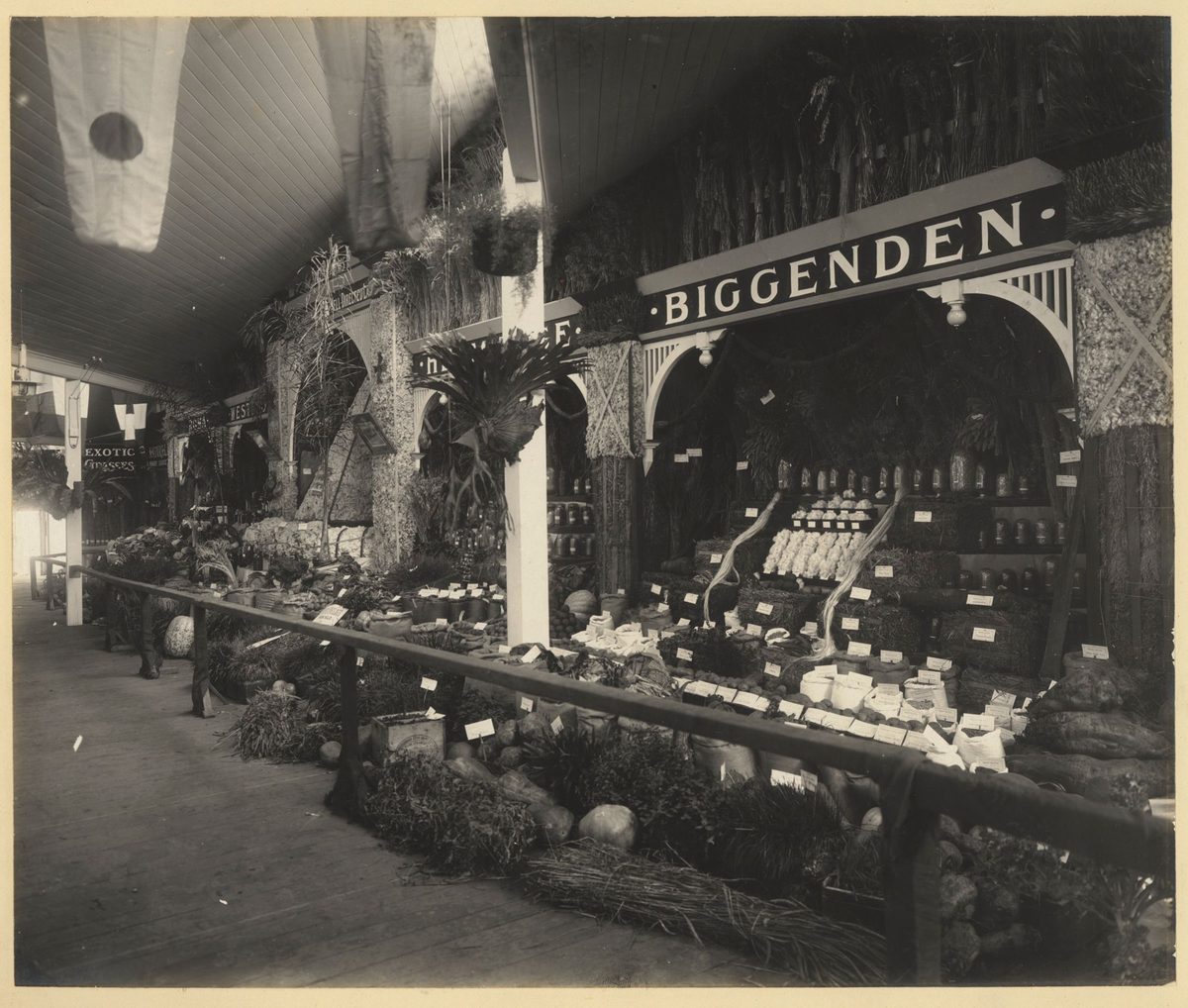 Primary produce display from Biggenden at the Jubilee Exhibition, Brisbane, 1909, Bowen Hills