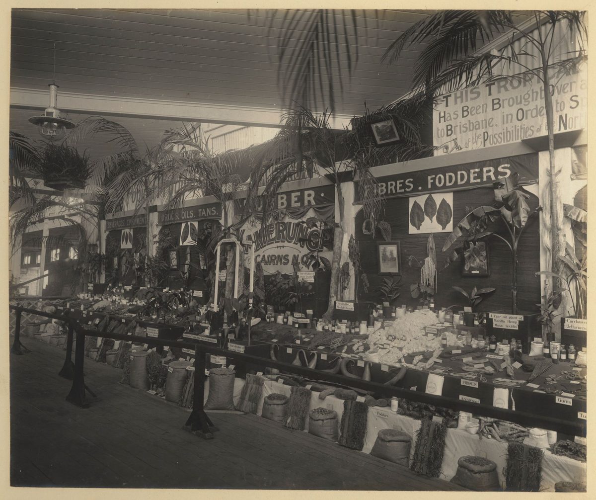 Produce on display at the Jubilee Exhibition from the Cairns district, Brisbane, 1909, Bowen Hills