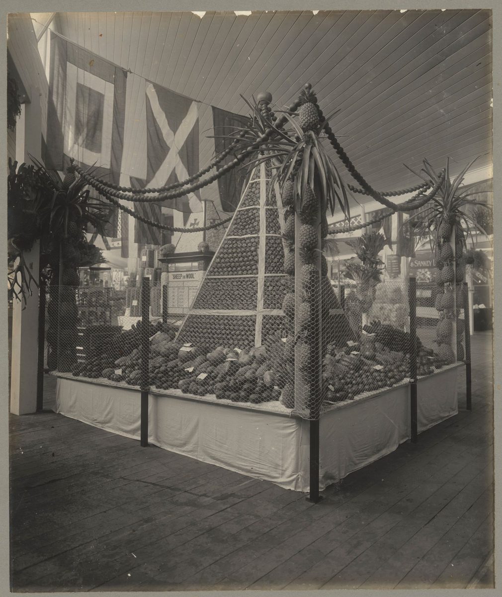 Pineapple and fruit display at the Jubilee Exhibition, Brisbane, 1909, Bowen Hills