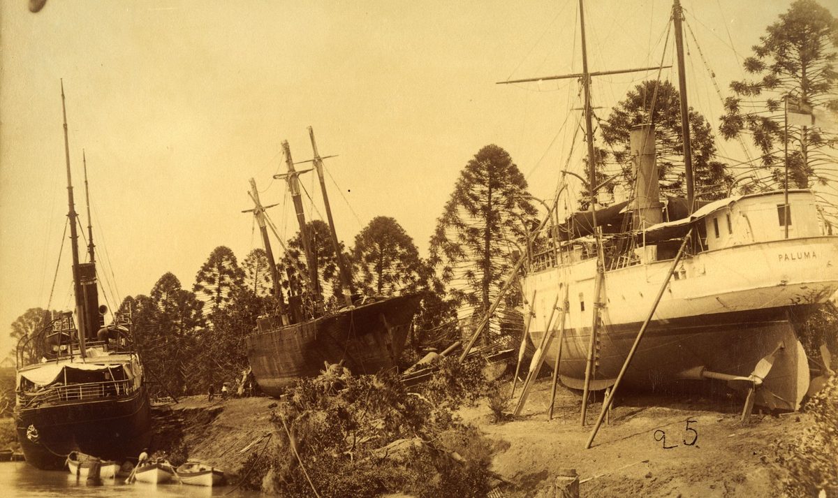 Three boats stranded in the Brisbane Botanical Gardens, 1893
